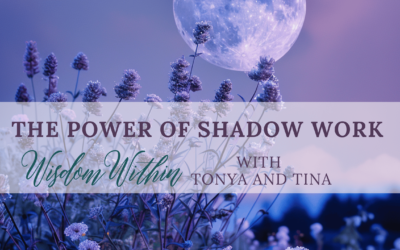 The Power of Shadow Work