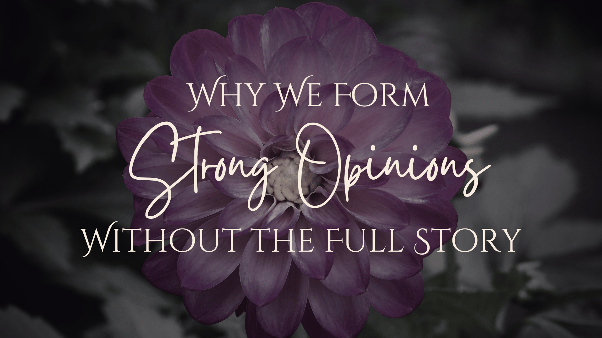 Why We Form Strong Opinions Without the Full Story